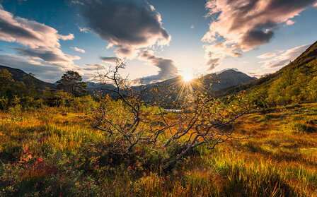 Komar Norwegische Herbstwelten SHX9-060