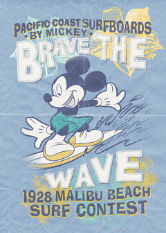 Komar Mickey Brave the Wave IADX4-014