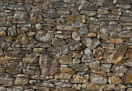 Komar Stone Wall 8-727