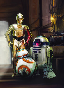 Komar STAR WARS Three Droids 4-447