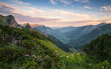 Komar Naturpark Allg&auml;uer Hochalpen SHX9-059