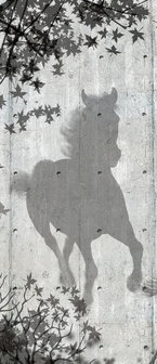 Horse Shadows on Gray Wall Door Mural Photo Wallpaper 3150VET