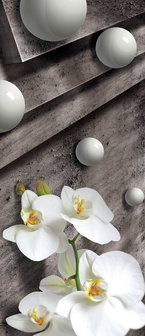 Orchids Door Mural Photo Wallpaper 3015VET