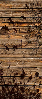 Meadow on Wood Planks Door Mural Photo Wallpaper 3487VET