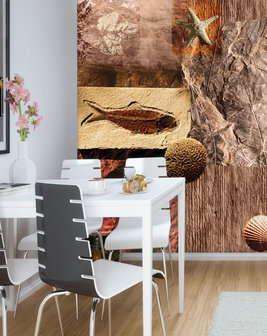 Fossils Photo Wall Mural 20395VEA