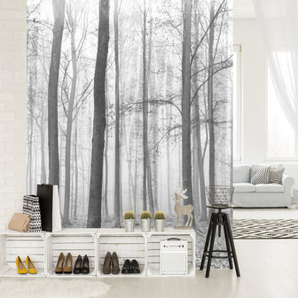 Forest Photo Wall Mural 11223VEA