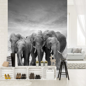 Elephants Photo Wall Mural 11578VEA