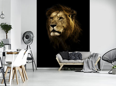 Lion Photo Wall Mural 11766VEA