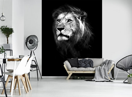 Lion Photo Wall Mural 11768VEA