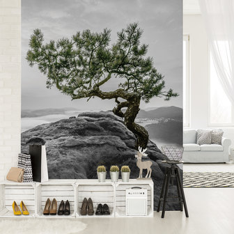 The tree on the rock Photo Wall Mural 11759VEA