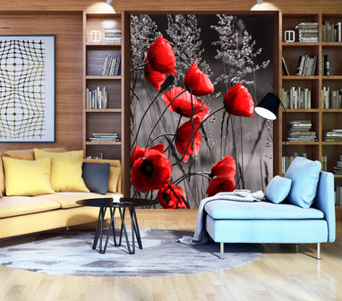 Poppies  Photo Wall Mural 11763VEA