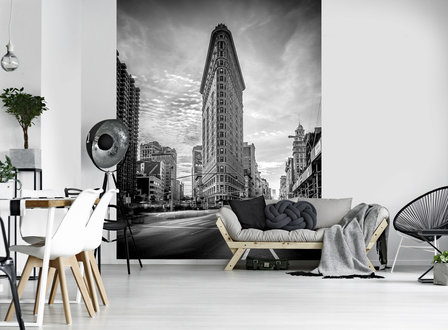 Flatiron Photo Wall Mural 11848VEA