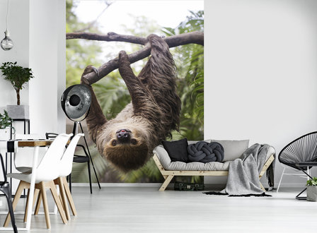 Sloth Photo Wall Mural 11858VEA