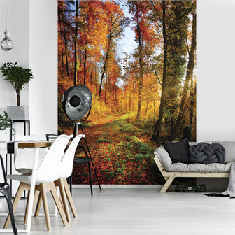 forest Photo Wall Mural 12108VEA