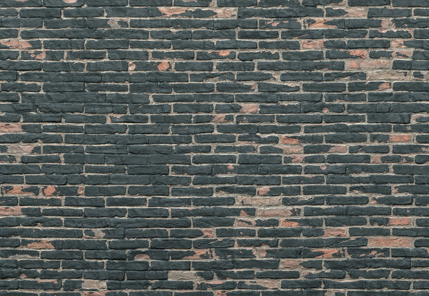 Komar Painted Bricks XXL4-067