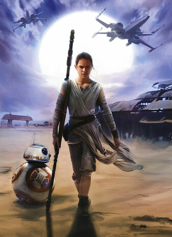 Komar STAR WARS Rey 4-448