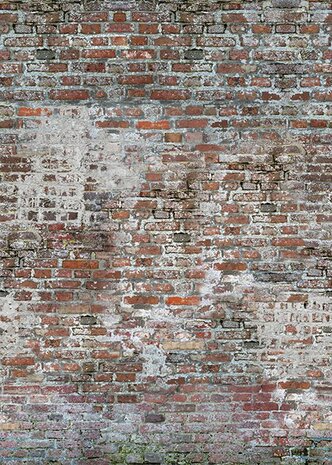 Bricks Wall Mural Non Woven AK1049 (Free Glue Included!)