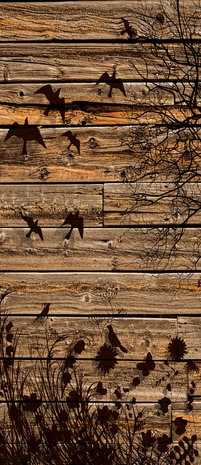 Meadow on Wood Planks Door Mural Photo Wallpaper 3487VET