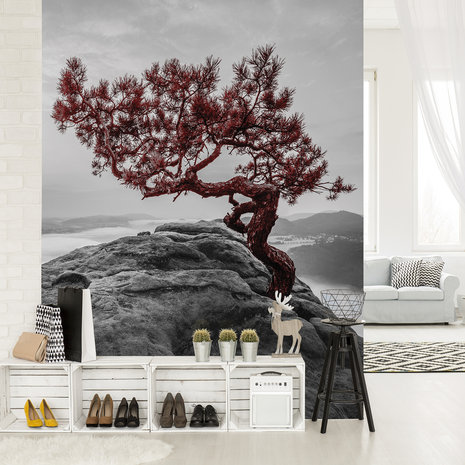 The tree on the rock Photo Wall Mural 11771VEA